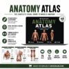 Anatomy Atlas fr - Anfa Education