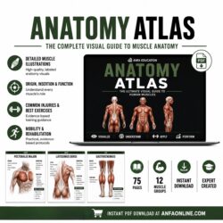 Anatomy Atlas fr - Anfa Education